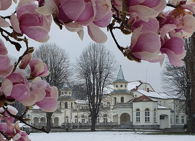 Winter in Banja Koviljača