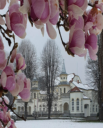 Zima u Banji Koviljači